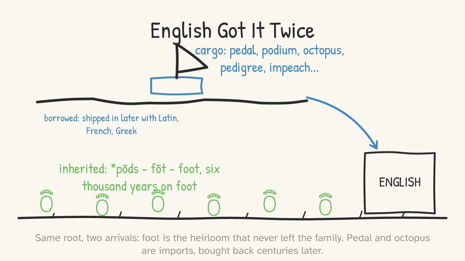 Panel 5: two routes to England — a footprint trail (inherited foot) and a ship carrying pedal, podium, octopus (borrowed)