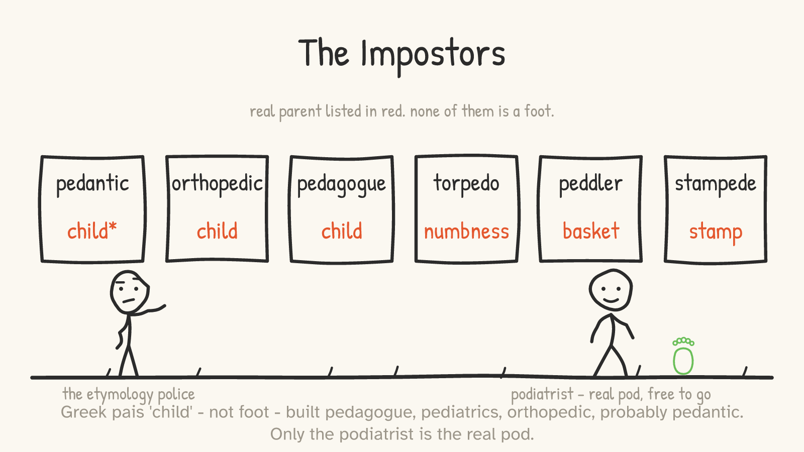 Panel 6: a lineup of impostor words — pedantic, orthopedic, pedagogue (child), torpedo (numbness), peddler (basket), stampede (stamp) — with a podiatrist set free
