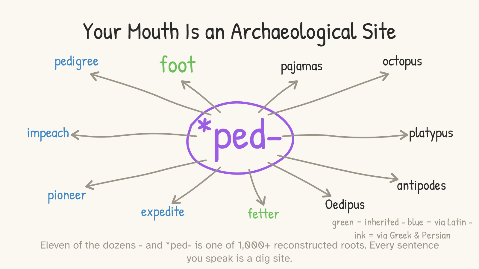 Panel 7: *ped- at the center radiating out to foot, pedigree, pajamas, octopus, impeach, platypus, pioneer, expedite, fetter, Oedipus, antipodes